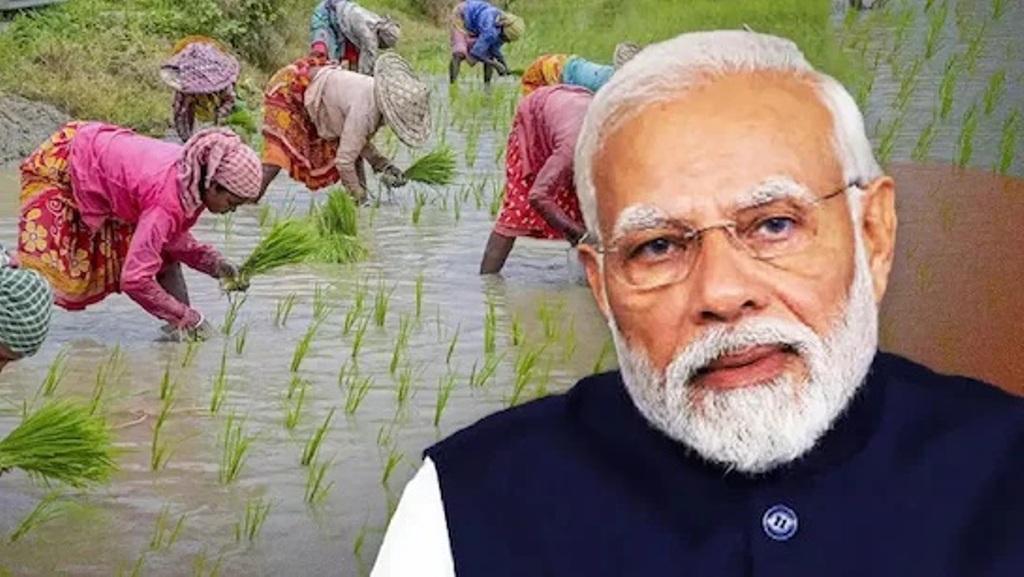 ‘ପ୍ରଧାନମନ୍ତ୍ରୀ ଧନ ଧାନ୍ୟ କୃଷି ଯୋଜନା’ରେ ଭୁବନେଶ୍ୱରେ ହେବ ଅତ୍ୟାଧୁନିକ ମାଛ ବଜାର