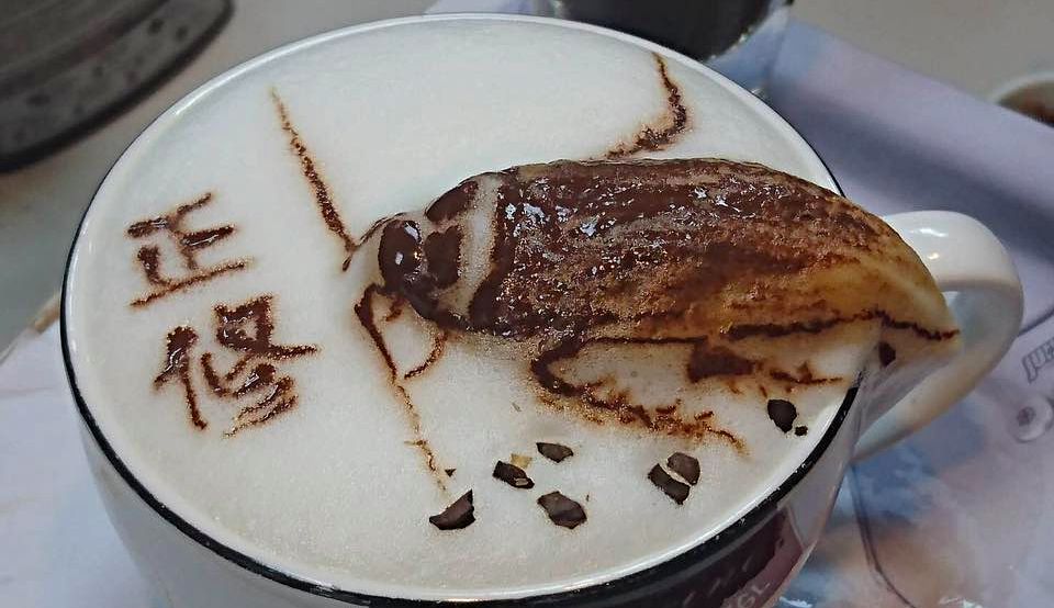 ଅସରପା କଫି