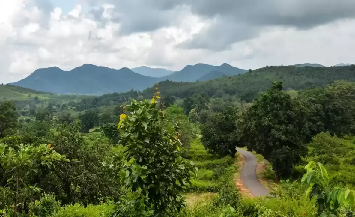1719646122best time to visit Odisha