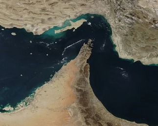 WhatsApp Image 2026-03-12 at 4.11.34 PM