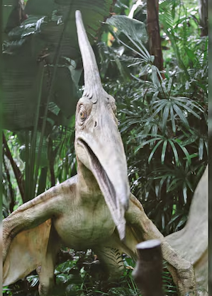 ପକ୍ଷୀ ସଦୃଶ ଡାଇନୋସର