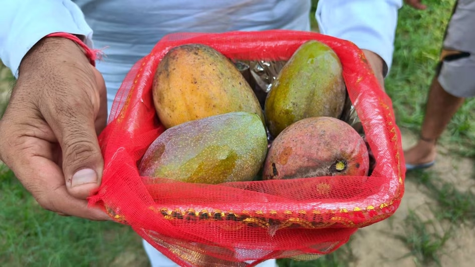 ୪ ଟି ଆମ୍ବର ମୂଲ୍ୟ ୨ଲକ୍ଷ