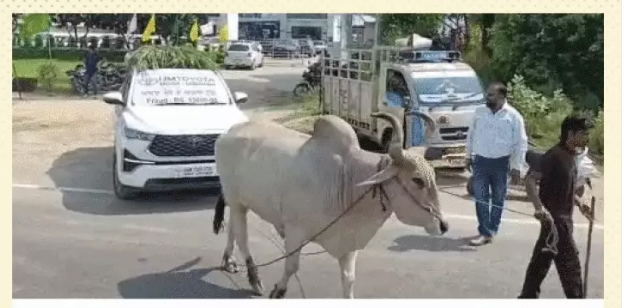 ନିଆରା ପ୍ରତିବାଦ