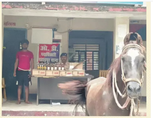 ଚୋରାଚାଲାଣ ଅଭିଯୋଗରେ ଘୋଡା ଅଟକ