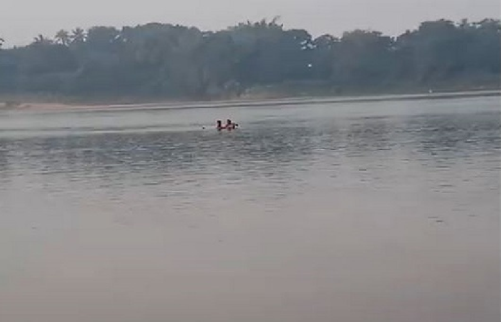 ନଦୀକୁ ଡେଇଁ ଯୁବକ ନିଖୋଜ