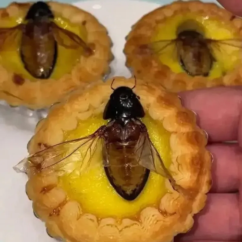 ପୋକରଖି ପରିବେଷଣ ହେଉଛି ମିଠା