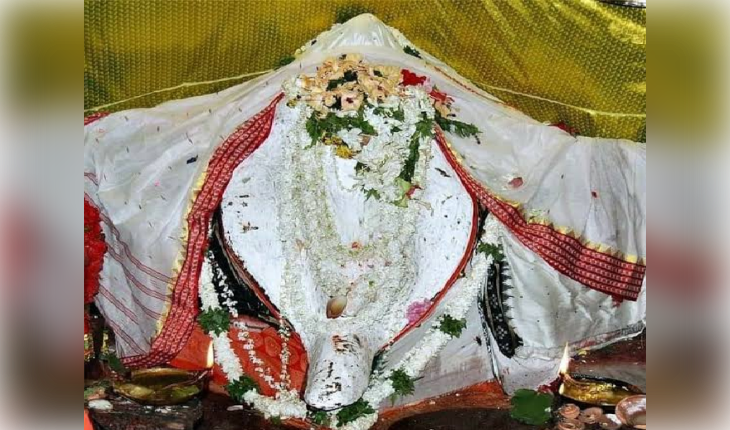 ମା' ସମଲେଶ୍ୱରୀଙ୍କ ଧବଳମୁଖୀ ବେଶ
