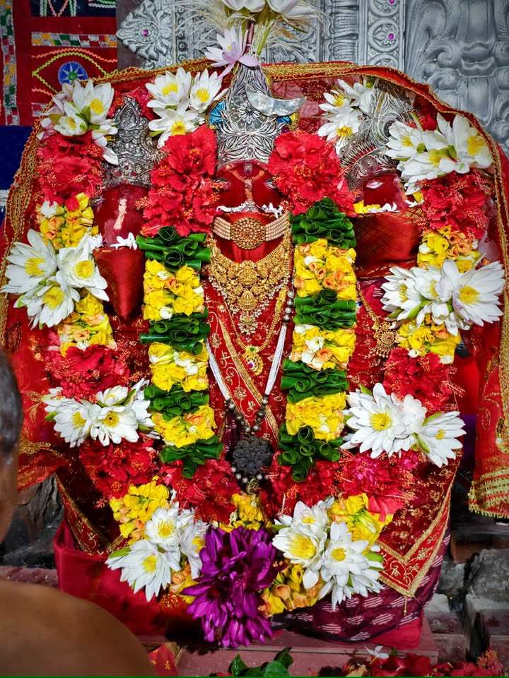ମାଆ ହିଙ୍ଗୁଳା