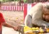 ପଶୁପ୍ରେମର ନିଆରା କାହାଣୀ