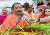 ସମଲେଇ ମନ୍ଦିରରେ ପହଁଚିଲା ସରିଆ ଧାନ 