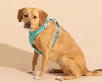 ପୋଷାଜୀବ ଥିଲେ ଅଧିକ ଭଡା