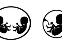 ଗୋଟିଏ ଗର୍ଭରେ ୯ଟି ଶିଶୁ