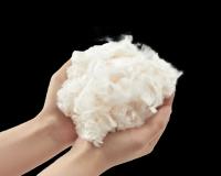 ଦୁଗ୍ଧରୁ ପ୍ରସ୍ତୁତ ହେବ ପୋଷାକ