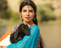 ଦେଶୀଗର୍ଲଙ୍କ କମବ୍ୟାକ