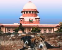 କୁକୁର କାମୁଡ଼ା ବିରୋଧରେ ସୁପ୍ରିମ୍‌କୋର୍ଟରେ ଆବେଦନ