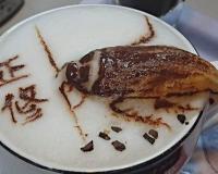 ଅସରପା କଫି