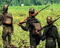 ମାଓବାଦୀଙ୍କ ସରେଣ୍ଡର ରାଶି ବୃଦ୍ଧିକଲେ ରାଜ୍ୟସରକାର 