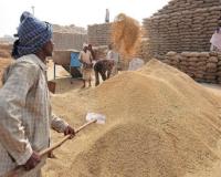 ୨୦ ତାରିଖରୁ ହେବ ଖରିଫ ଧାନ କିଣା 