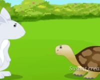 କଇଁଛ ଠେକୁଆ