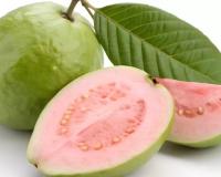 ପିଜୁଳି ଖାଇବାରୁ ନୋଟିସ