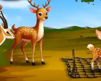 ହରିଣ ଓ ଶିକାରୀ