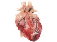 ଶରୀରରେ ମିଳାଇବ ପେସ୍‌ମେକର