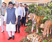 ଦେବ୍ରିଗଡ ଅଭୟାରଣ୍ୟକୁ ଆସିବେ ୨ଟି ନୂଆ ବାଘ  