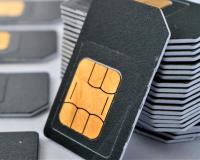 ସିମରୁ ବାହାରୁଛି ସୁନା