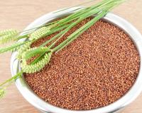 ସୁପର ଫୁଡ ମାଣ୍ଡିଆ