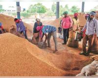 ଧାନ କିଣାର ତଥ୍ୟ ରଖିଲେ ସରକାର 