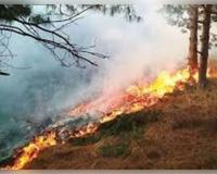 ଜଙ୍ଗଲ ନିଆଁ ଲିଭାଇବା ପାଇଁ ବ୍ୟବହାର ହେବ ମିନି ଡ୍ରୋନ୍‌