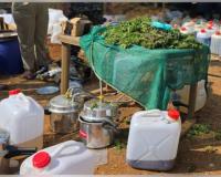 ୨୦୦ କୋଟି ମୂଲ୍ୟର ଗଞ୍ଜେଇ ତେଲ ଜବତ 