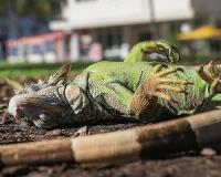 ଝିଟିପିଟି ବର୍ଷା !