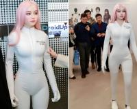 ବାୟୋମେଟ୍ରିକ ରୋବଟ