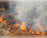 କୋଇଡା ଜଙ୍ଗଲରେ ଭୟାବହ ଅଗ୍ନିକାଣ୍ଡ 