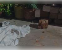 ଆଇନଜୀବୀଙ୍କ ଘରକୁ ବୋମାମାଡ଼ 