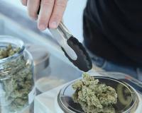 ଫ୍ୟାଟି ଲିଭର ଚିକିତ୍ସାର ନୂଆ ଦିଗ