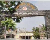 ବ୍ଲେଡ ଆକ୍ରମଣରେ କଲେଜ ଛାତ୍ରୀ ଗୁରୁତର 