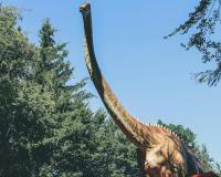 ୧୦୦ ନିୟୁତ ବର୍ଷର ଡାଇନୋସର