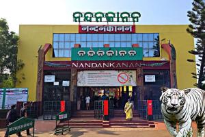 ନନ୍ଦନ କାନନ