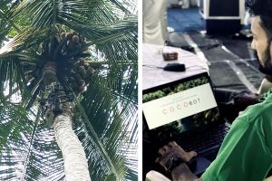 ନଡିଆ ତୋଳିବ ରୋବଟ