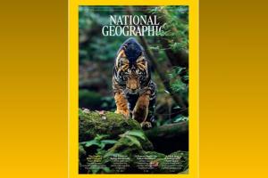 ନେସନାଲ ଜିଓଗ୍ରାଫିକ ବହିରେ ସ୍ଥାନ ପାଇଲା ଶିମିଳିପାଳ ର କଳାବାଘ ,ଏକ୍ସରେ ପୋଷ୍ଟ କରି ଖୁସି ବ୍ୟକ୍ତ କଲେ ମୁଖ୍ୟମନ୍ତ୍ରୀ