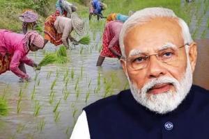 ‘ପ୍ରଧାନମନ୍ତ୍ରୀ ଧନ ଧାନ୍ୟ କୃଷି ଯୋଜନା’ରେ ଭୁବନେଶ୍ୱରେ ହେବ ଅତ୍ୟାଧୁନିକ ମାଛ ବଜାର