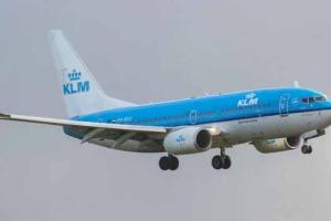 ଆମେରିକା ବିମାନବନ୍ଦରରେ ଯାତ୍ରୀ ଜରୁରୀକାଳୀନ ଦ୍ବାର ଖୋଲି ଗିରଫ