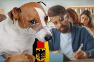 କୁକୁର ରଖିବାକୁ ପରୀକ୍ଷା