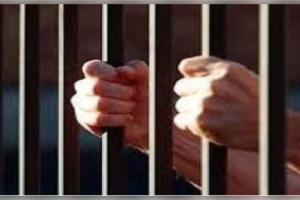 ବ୍ରାଉନ ସୁଗାର ବେପାରୀକୁ ୨୦ ବର୍ଷ ଜେଲ 