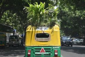 ଗ୍ରୀନ ରିକ୍ସା 