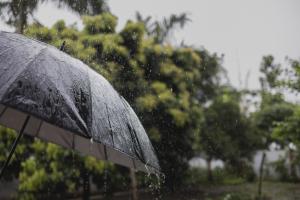 ଜୁନ ପ୍ରଥମ ସପ୍ତାହରେ ମୌସୁମୀ !