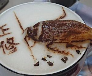 ଅସରପା କଫି