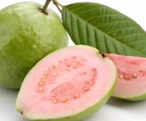 ପିଜୁଳି ଖାଇବାରୁ ନୋଟିସ